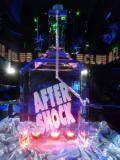 AfterShock Bottleluge