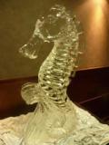 Seahorse